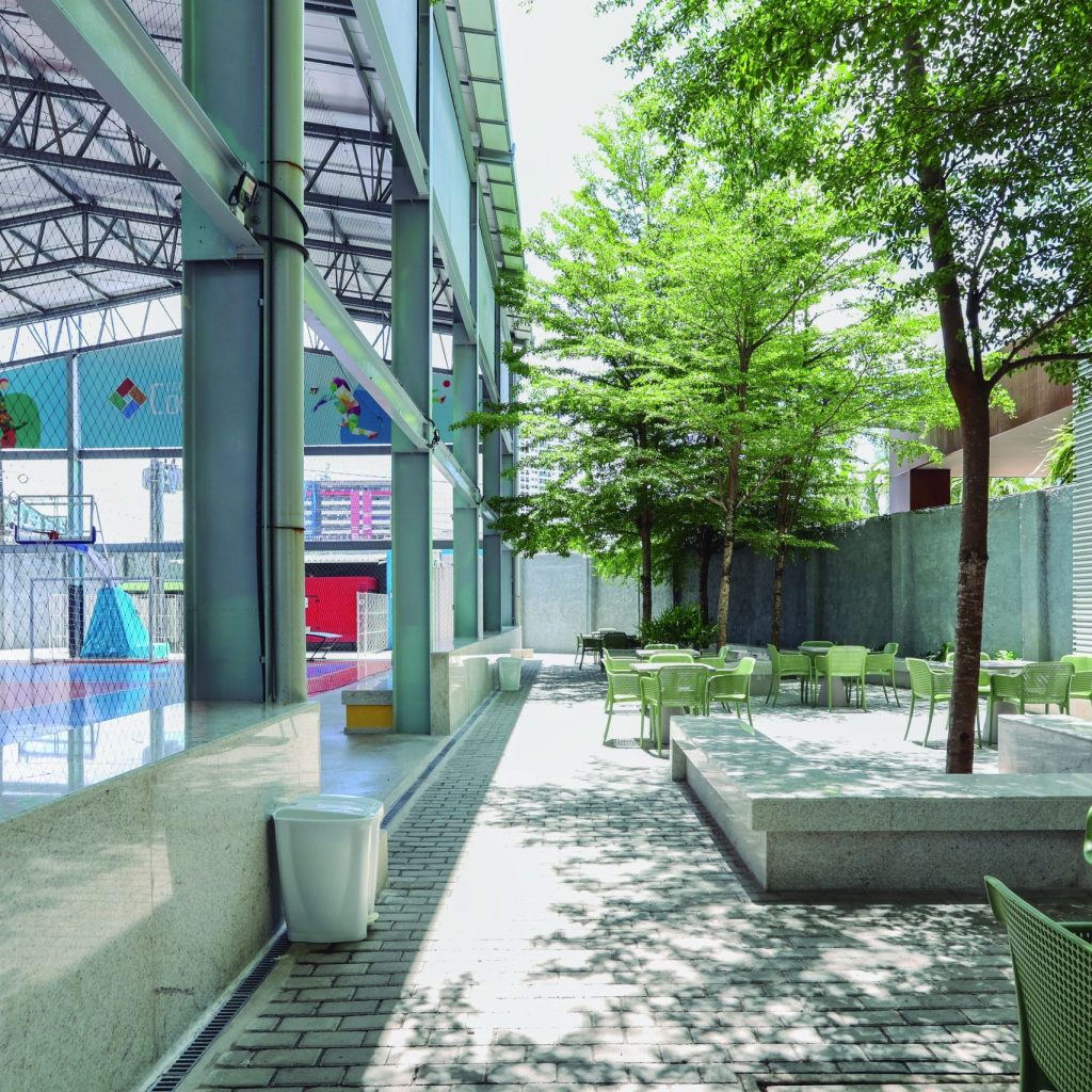 CognitivoBVMarcoMorganaNunesFotos-5